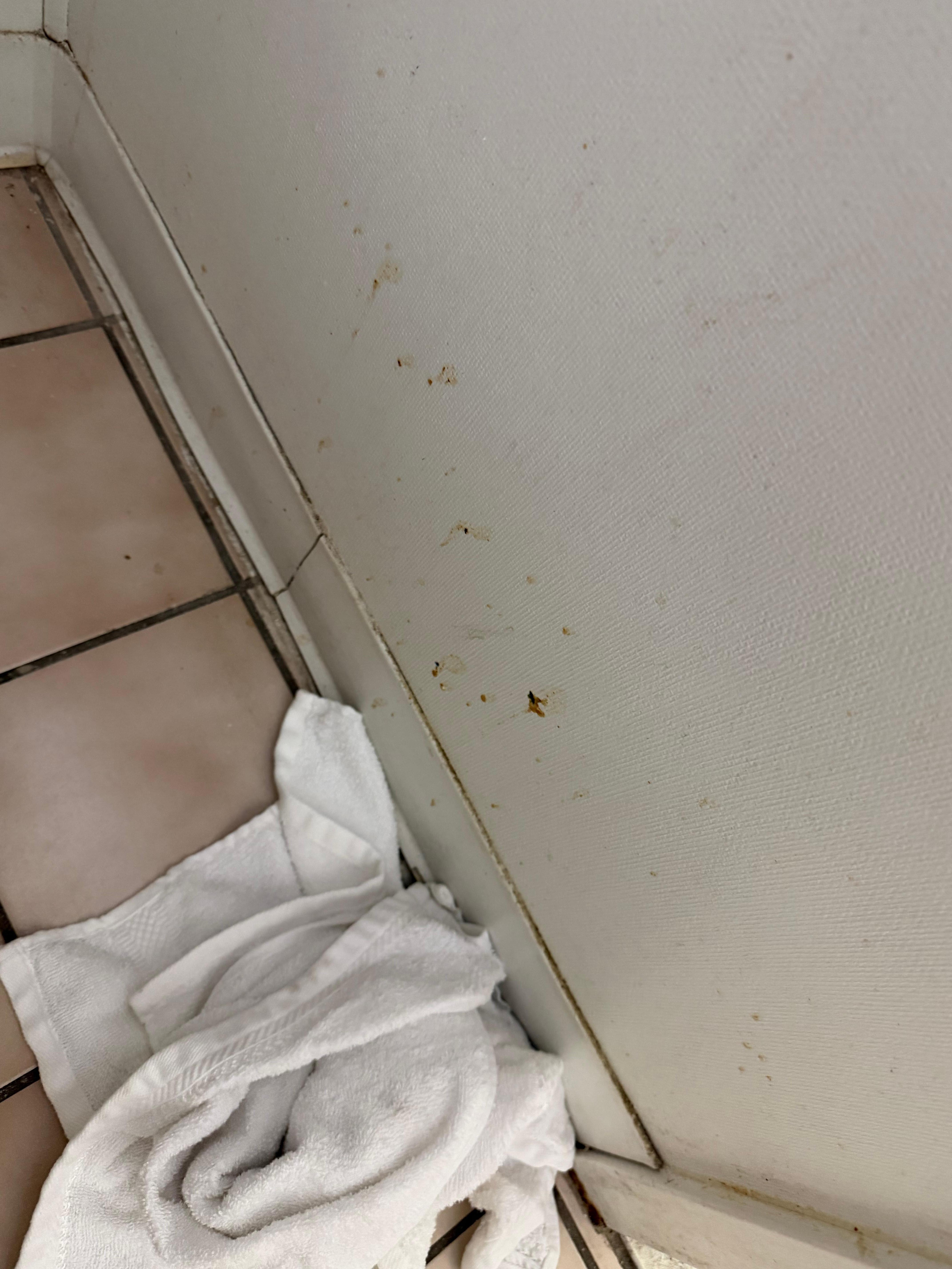 Dirty wall in bathroom 