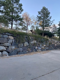 Elk grazing near the driveway