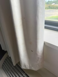 Blood on curtains in 101
