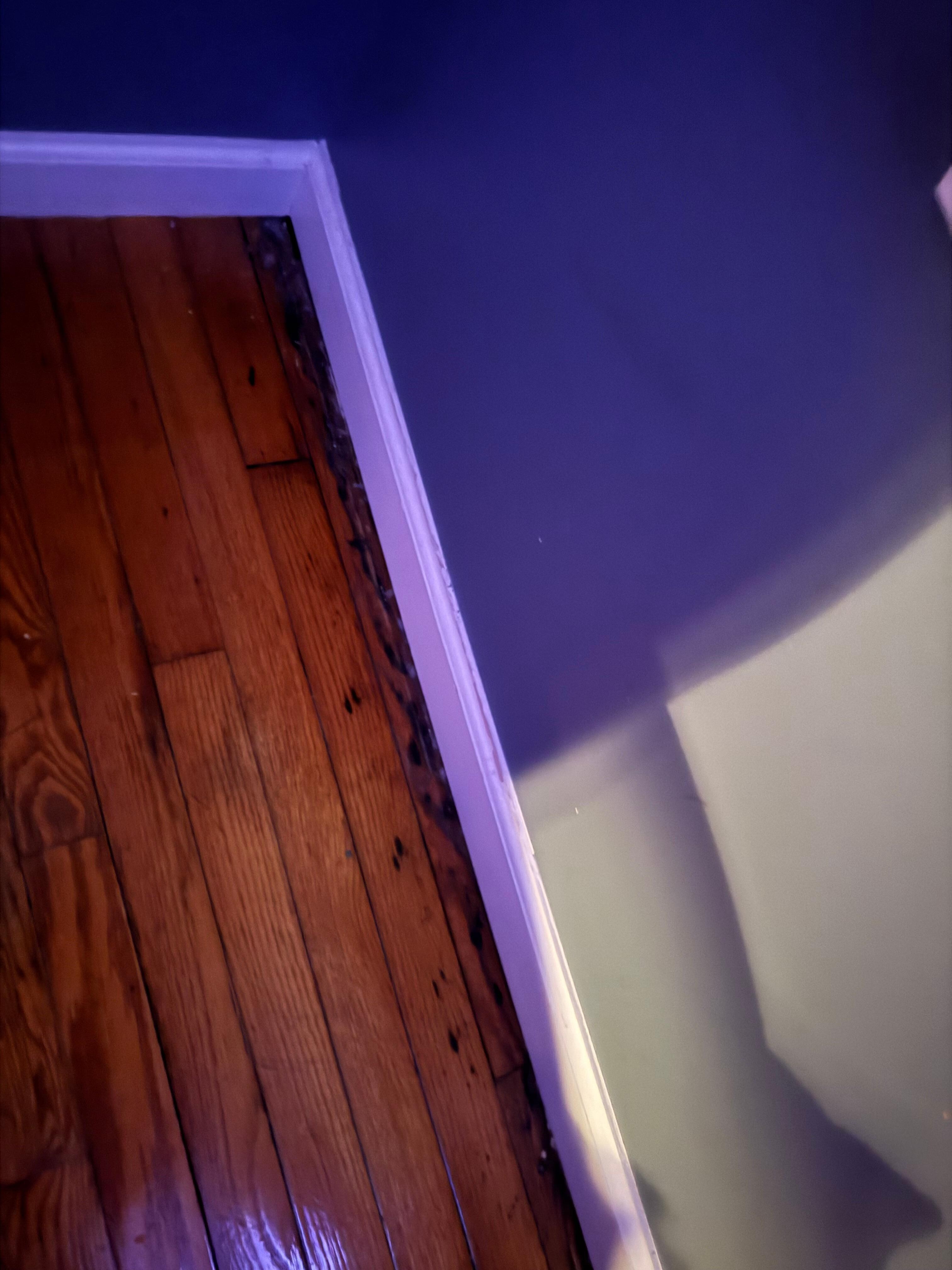 The wall is separating from the floor and full of mold. 