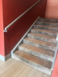 Carpet in stairwell outside our room