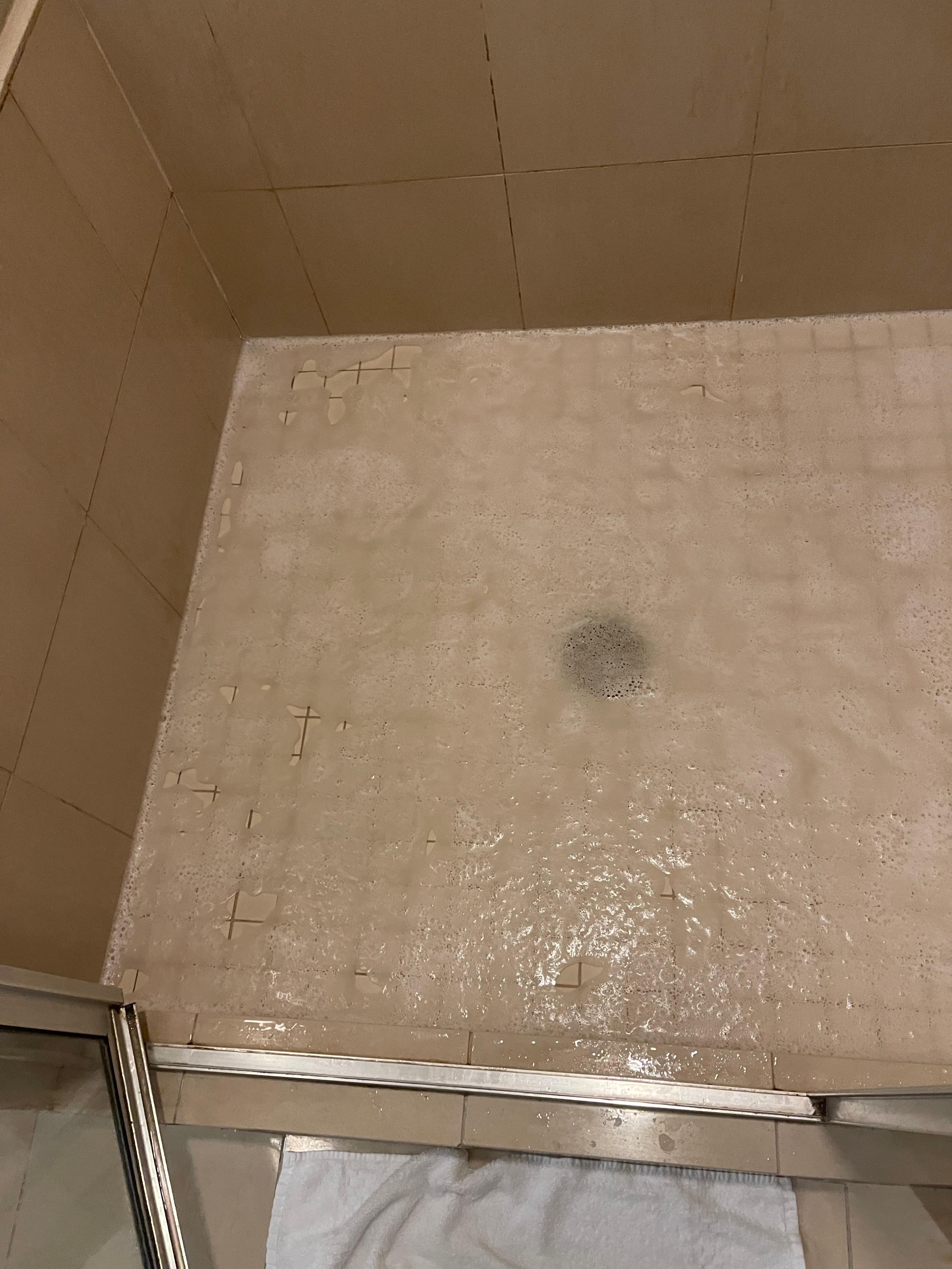 Clogged shower no help from hotel staff to resolve the problem