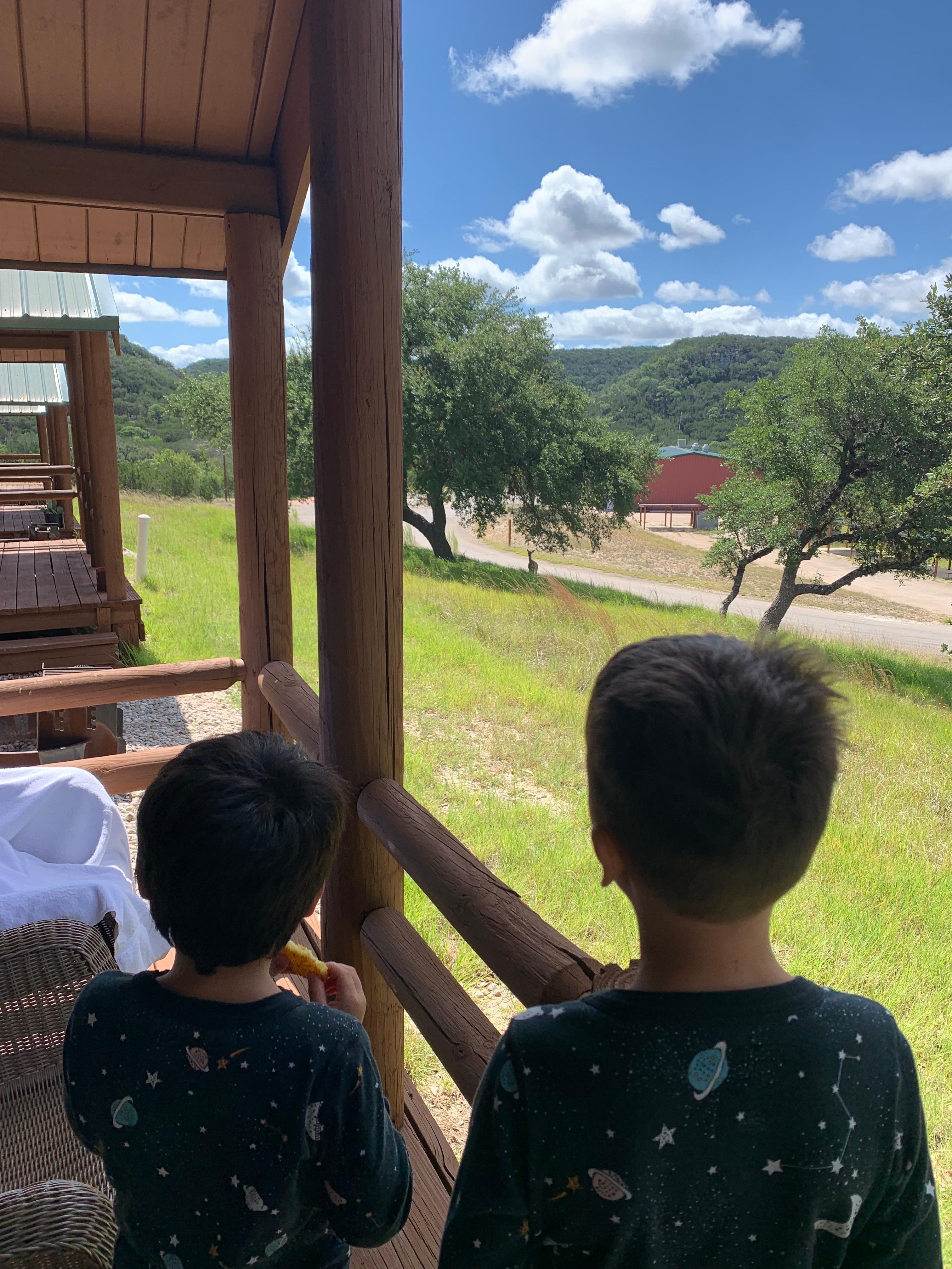 The boys seeing a deer