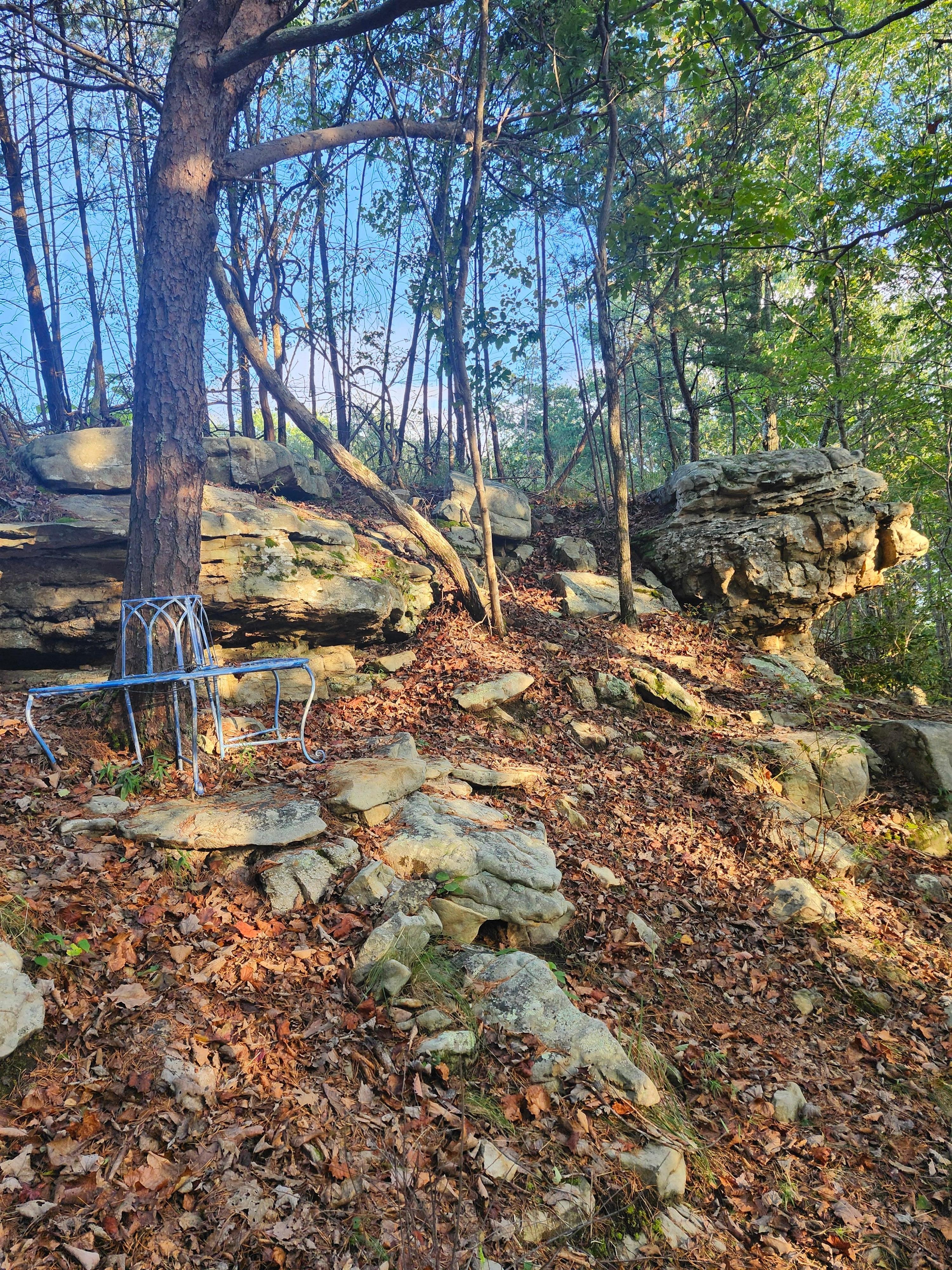 Hiking trails on the property