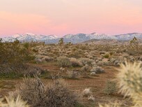 Sunrise in backyard.