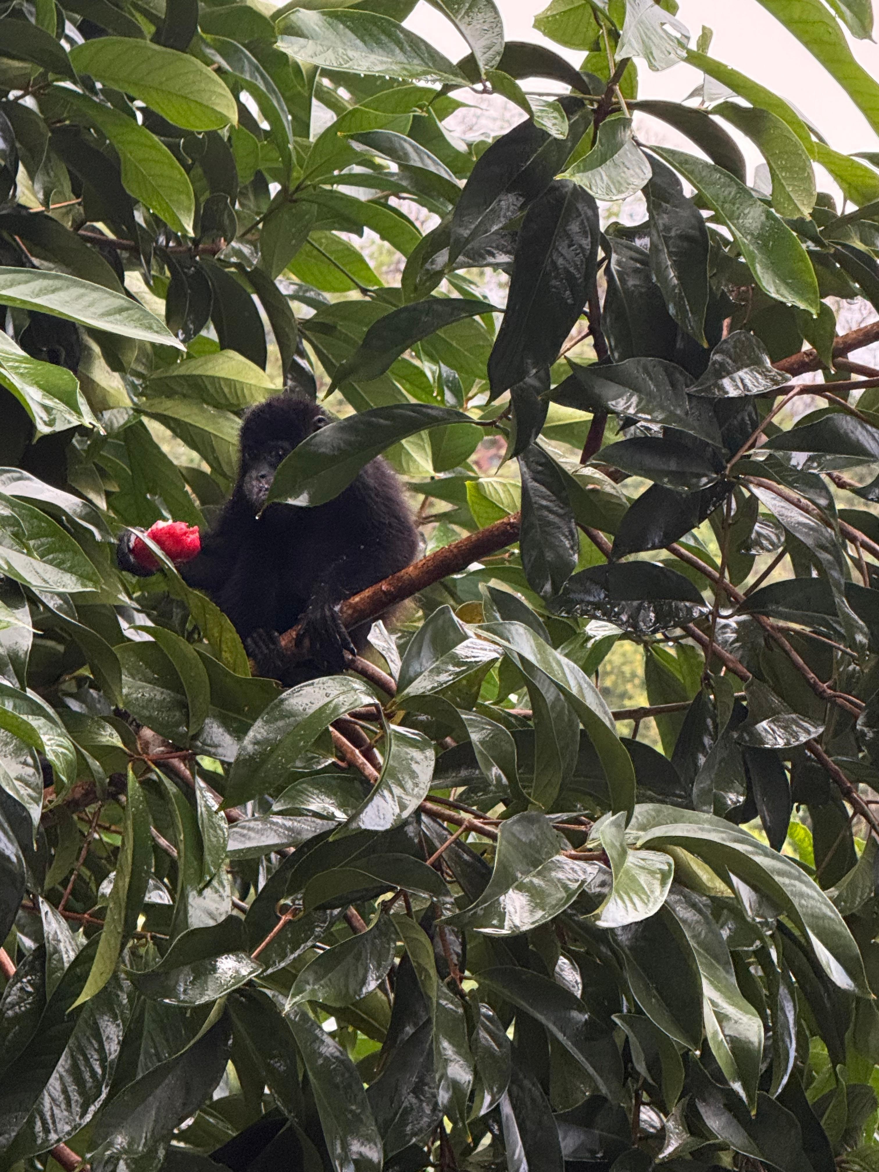 From our third floor balcony