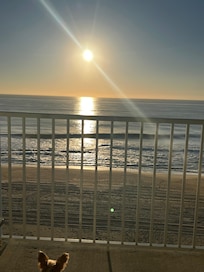 View from my balcony - splendid!