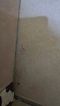 Hair on bathroom floor
2nd room