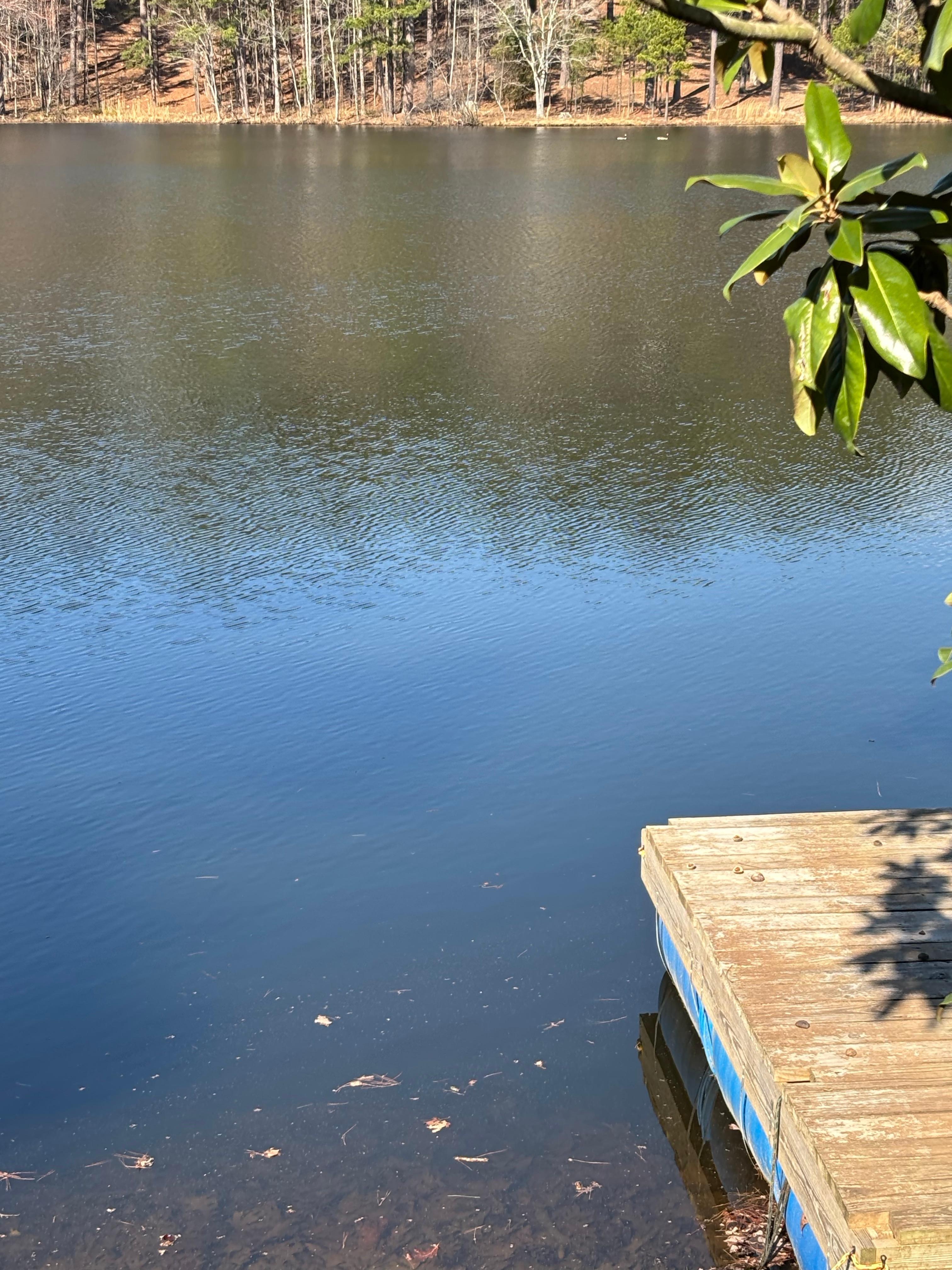 Right outside the units door