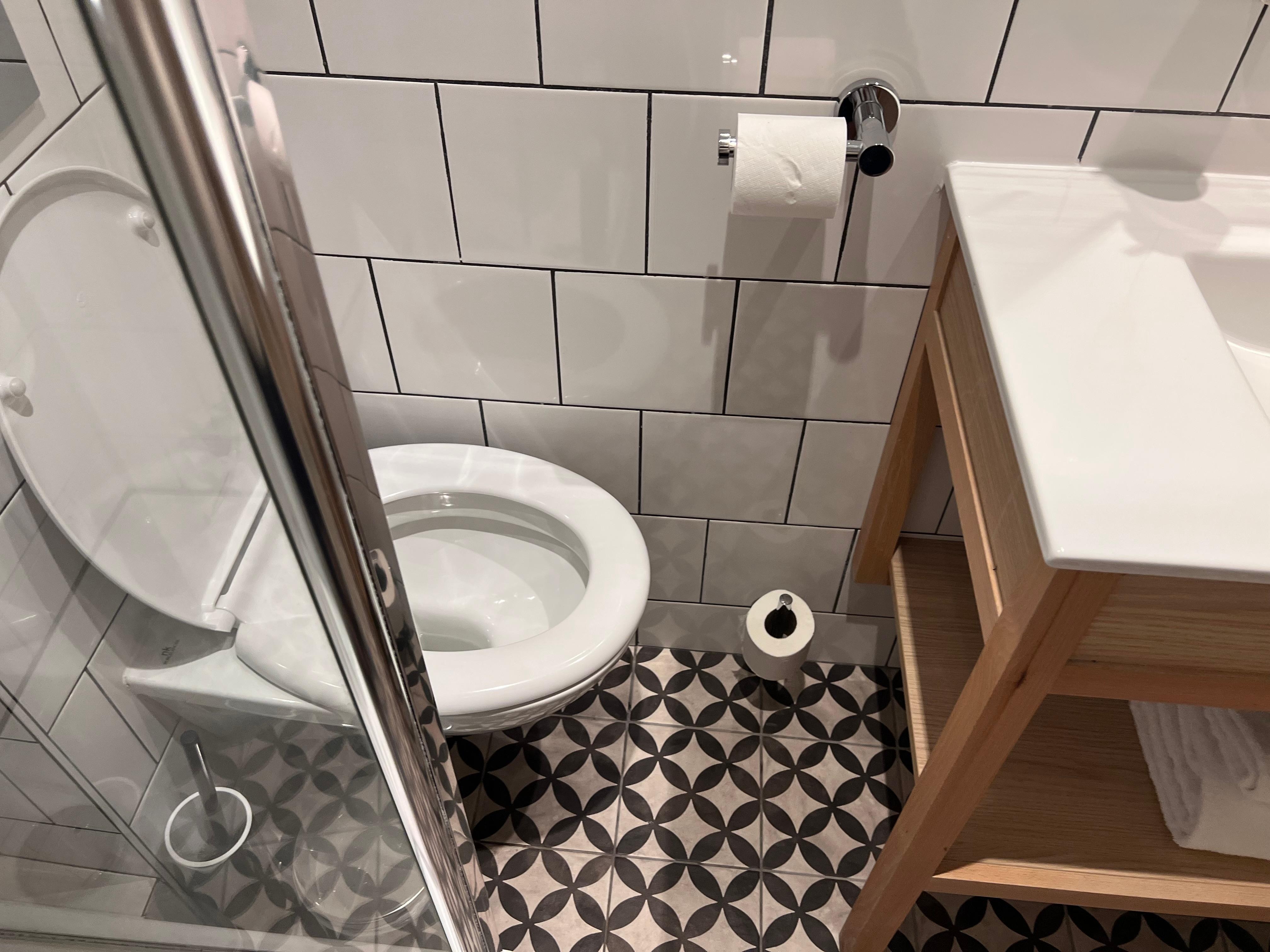 you need acrobatic skills if you wanted to use the toilet