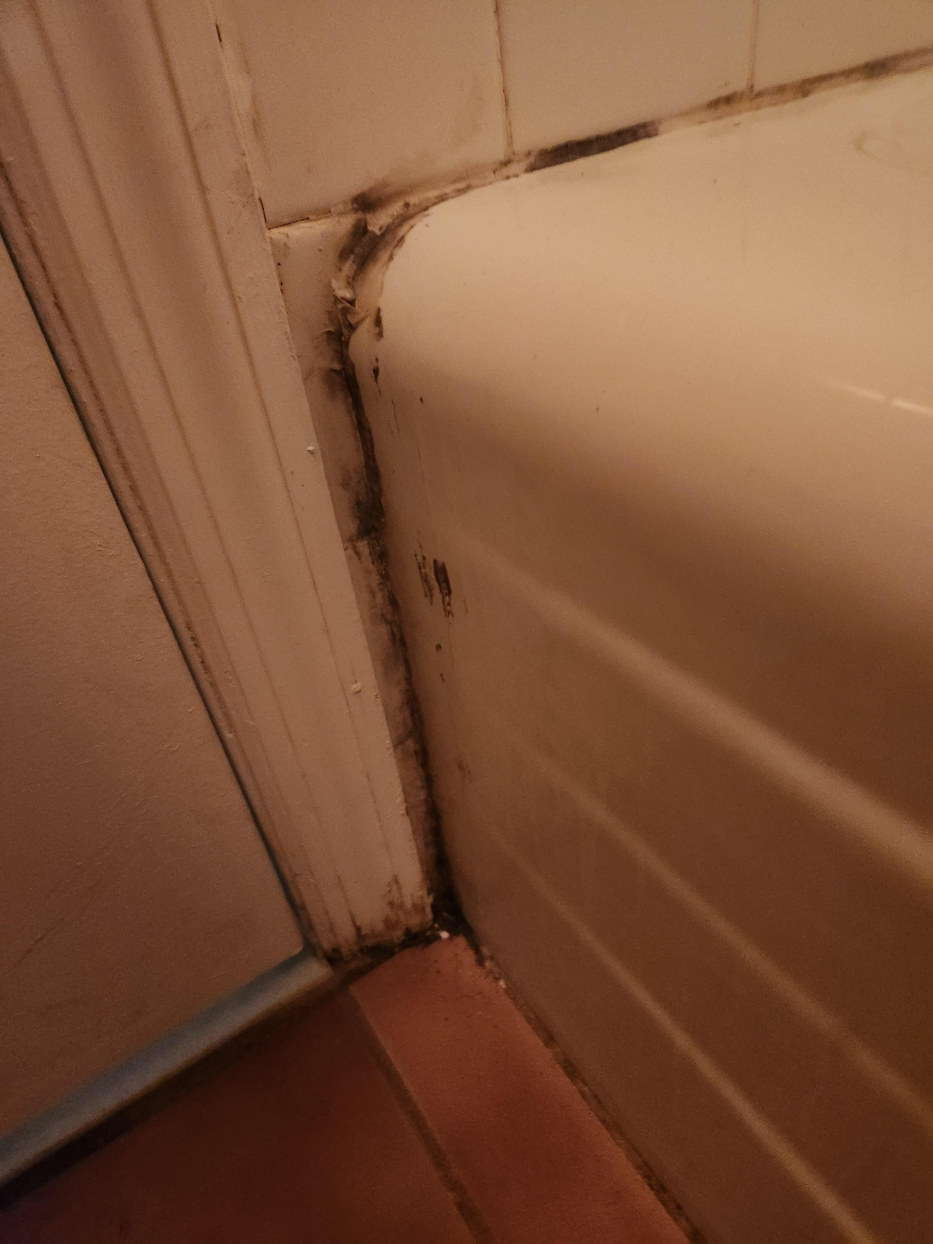 mold around tub, faucet, sink, etc