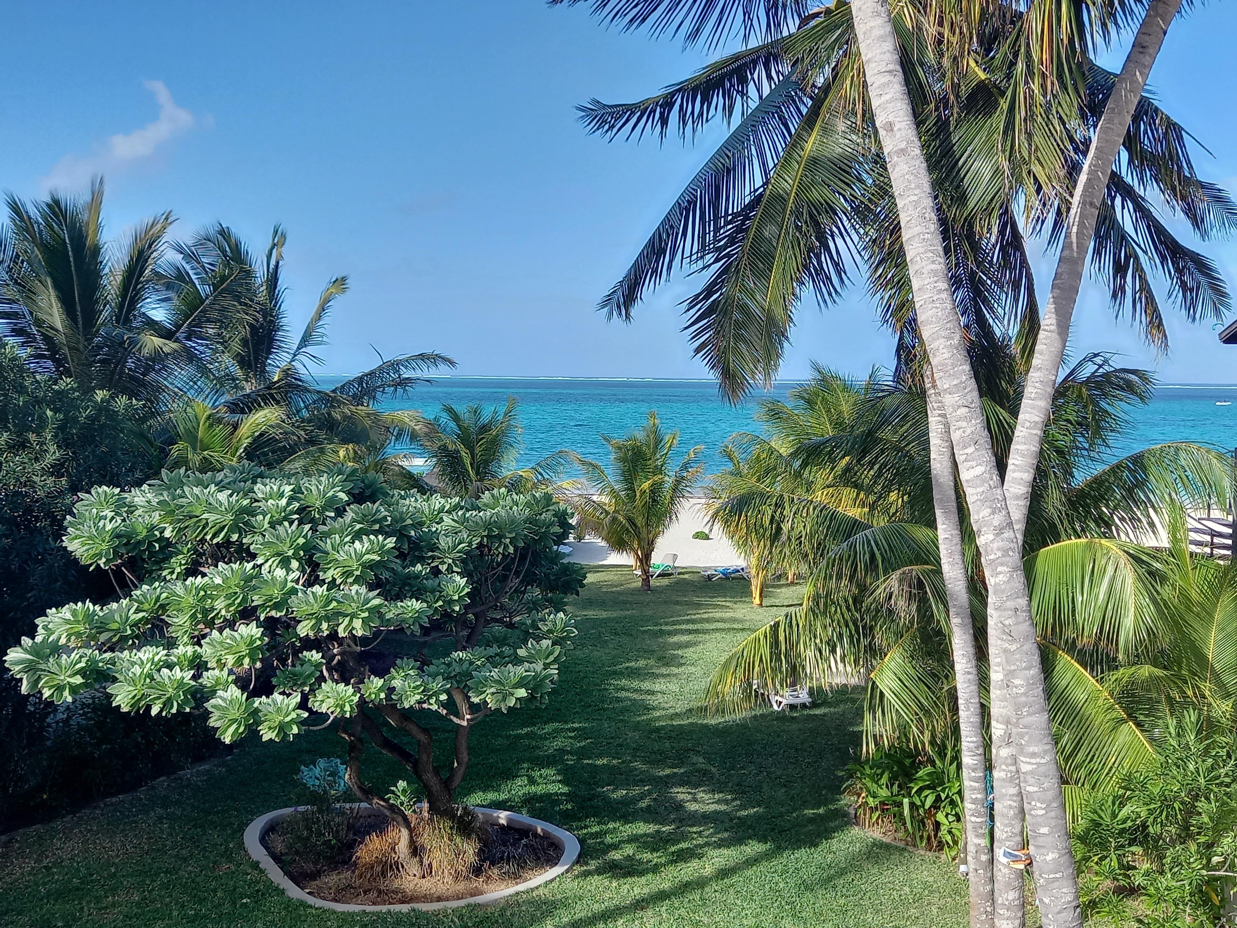 Blick von der Terrasse