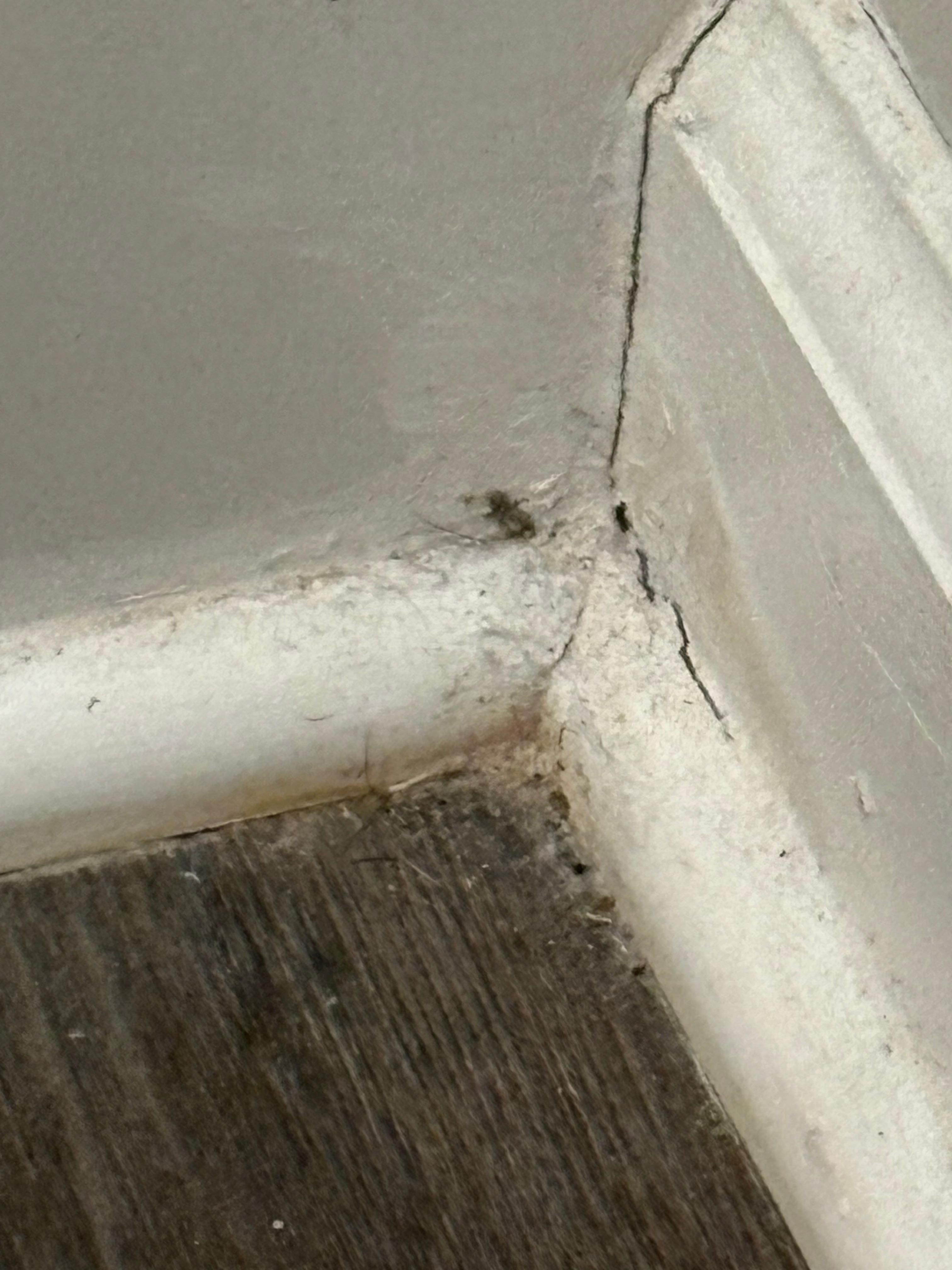 Baseboards have not been swept in a long time when we arrived,