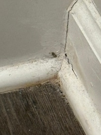 Baseboards have not been swept in a long time when we arrived,