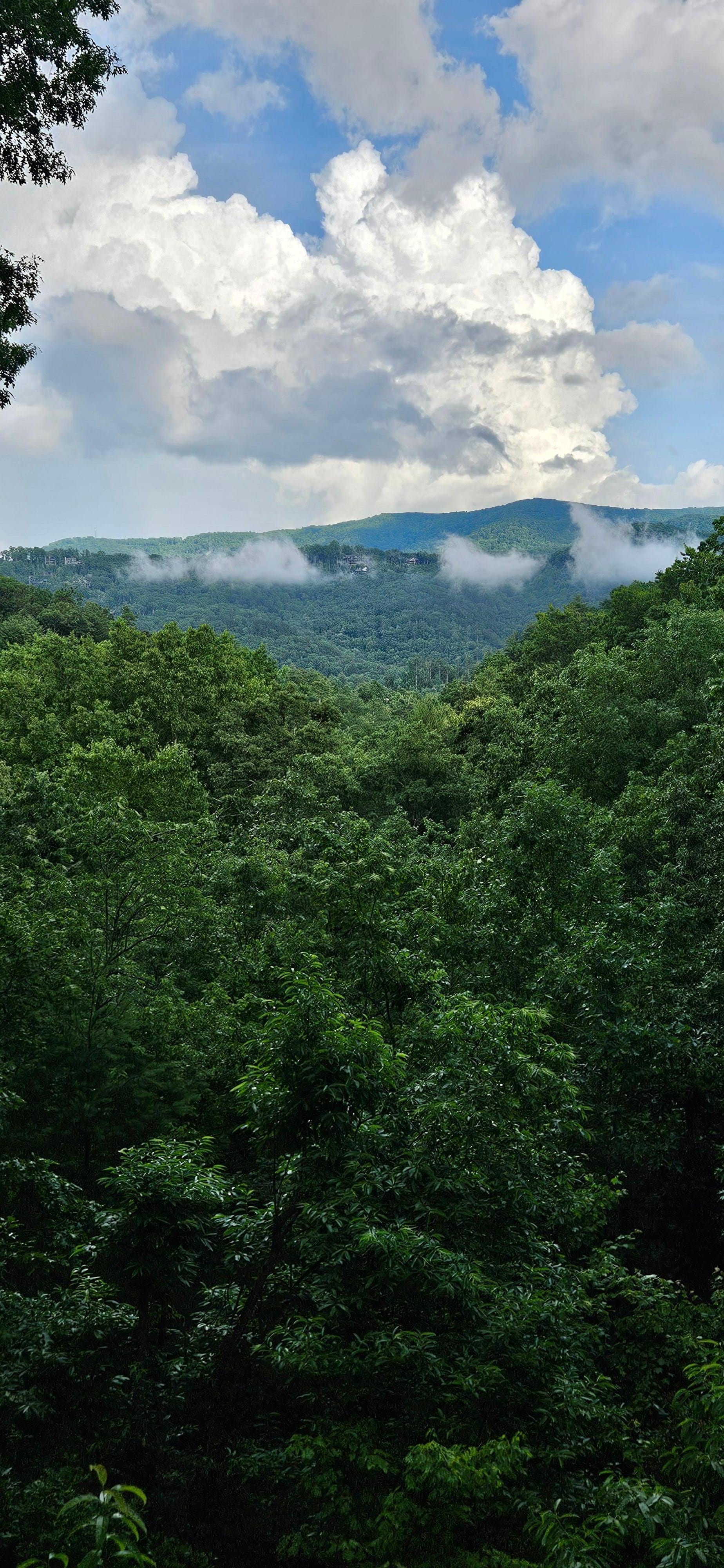 Looking off back deck.