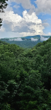 Looking off back deck.