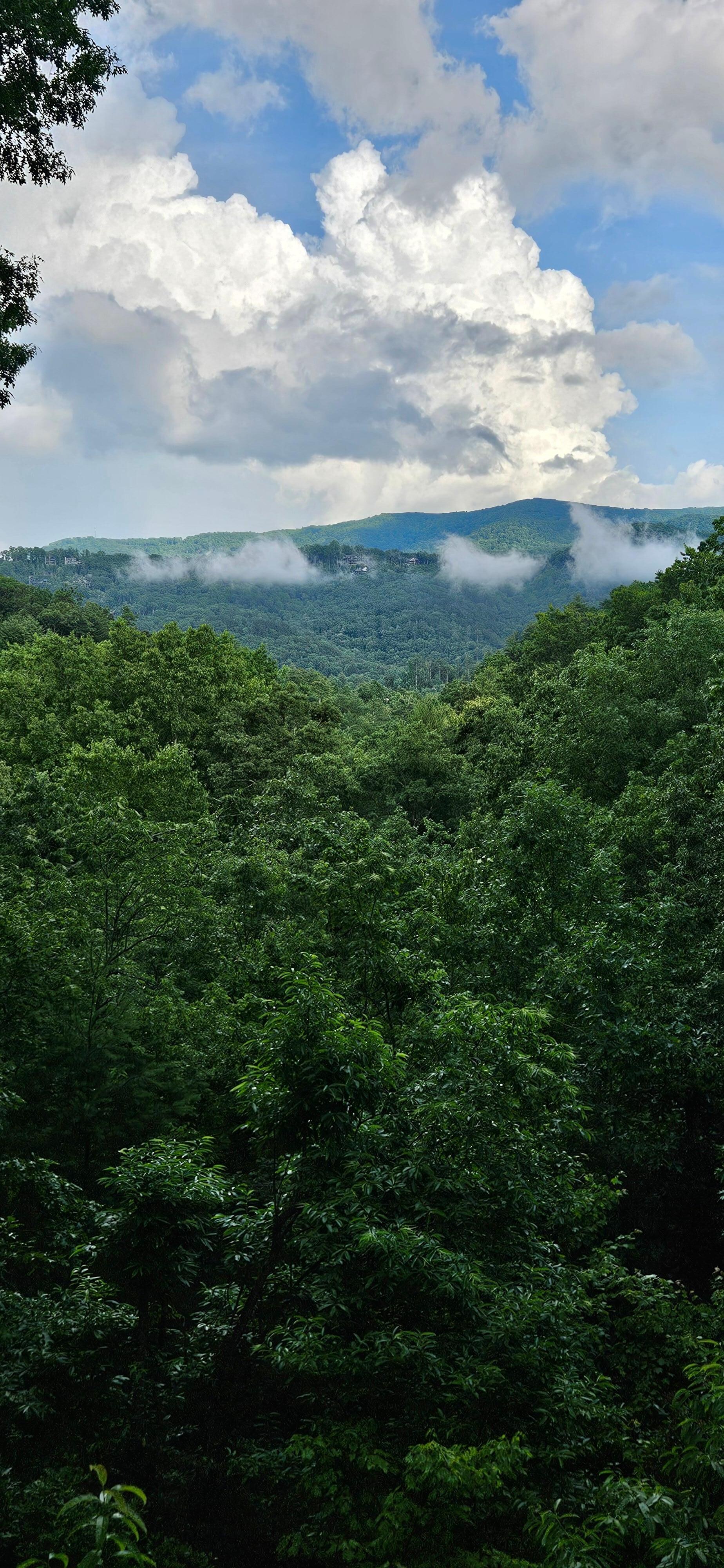 Looking off back deck.