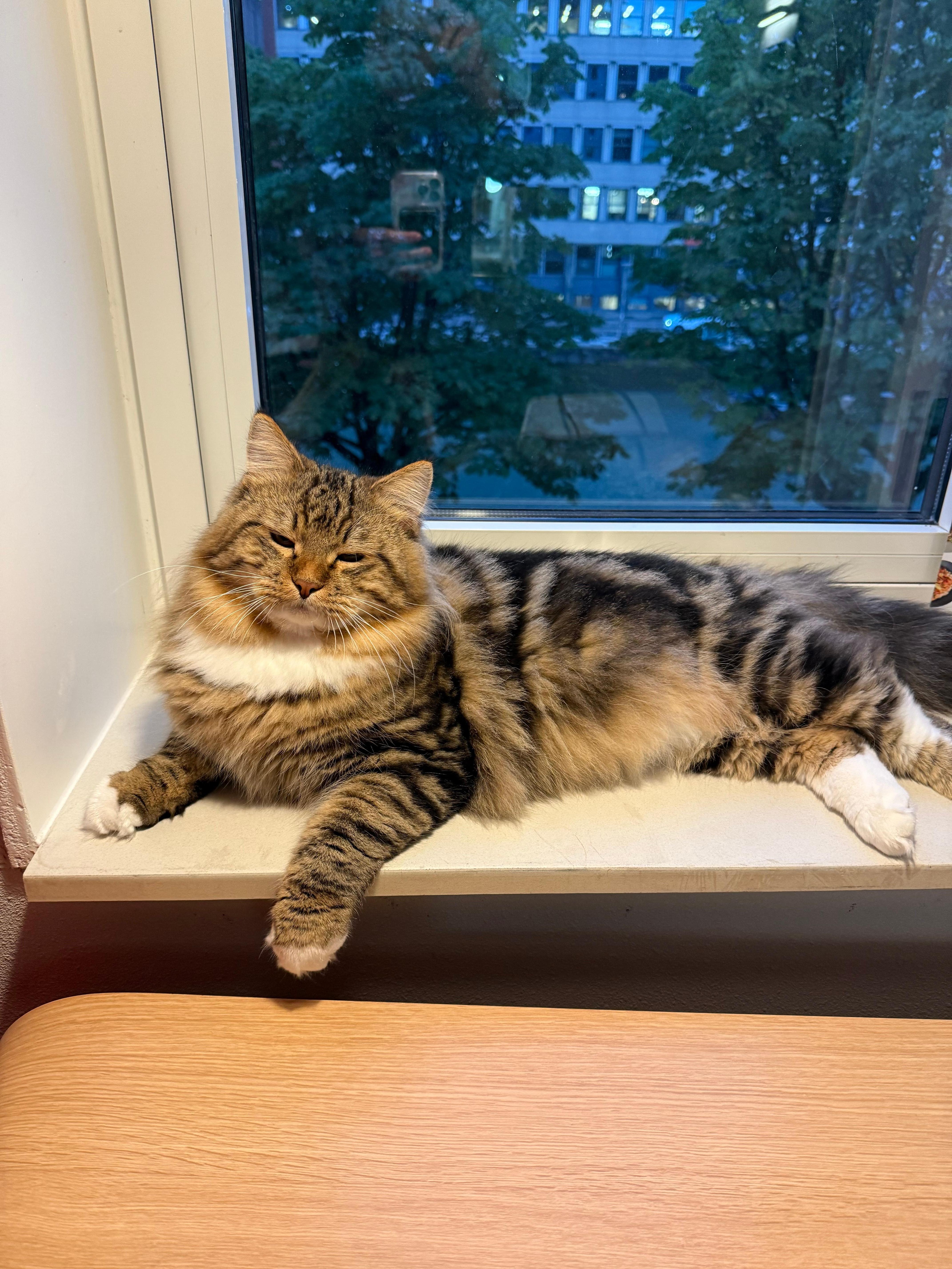 Wilhelm enjoying the view 