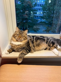 Wilhelm enjoying the view
