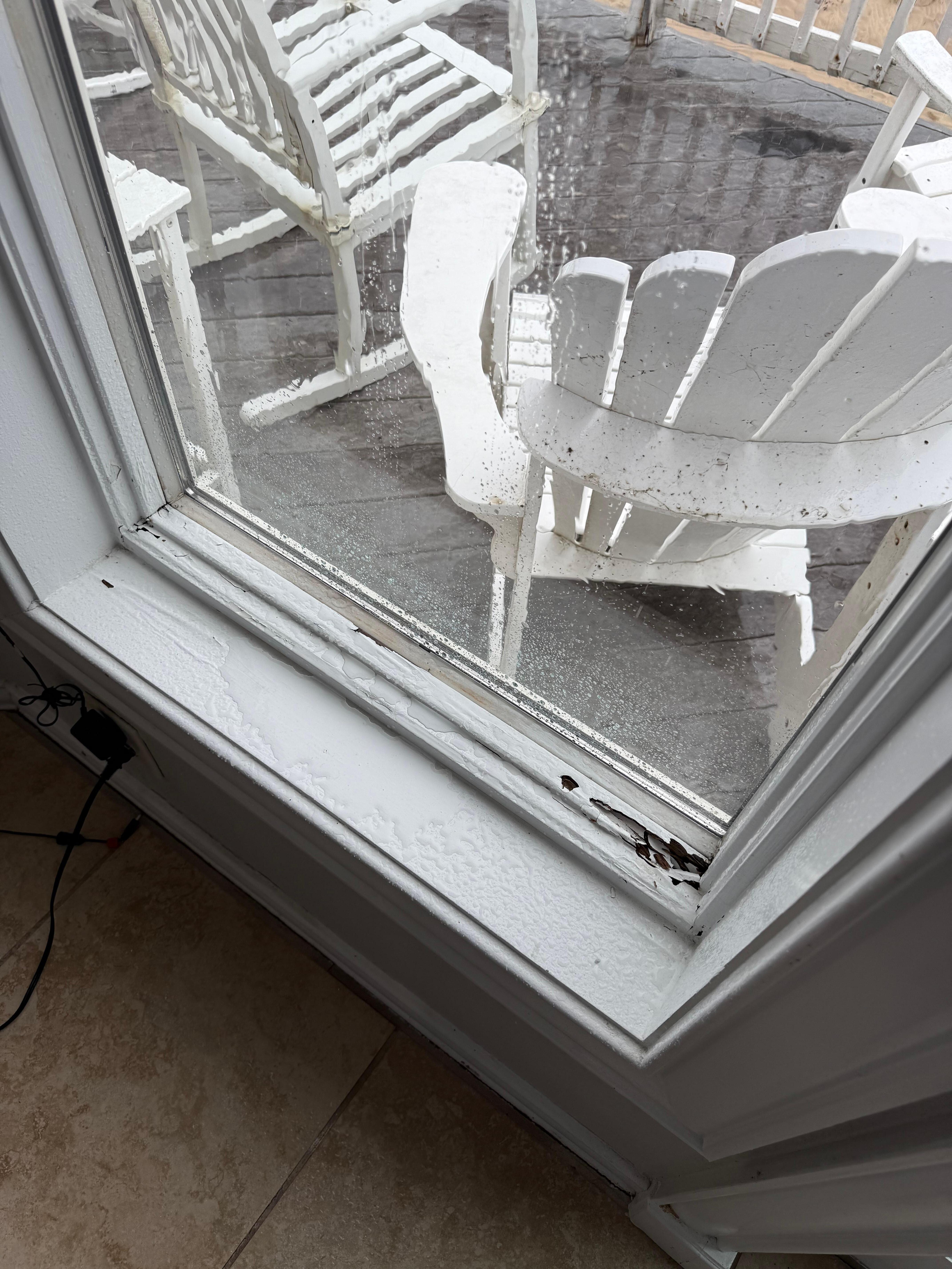 Rotted leaking window. One of many 