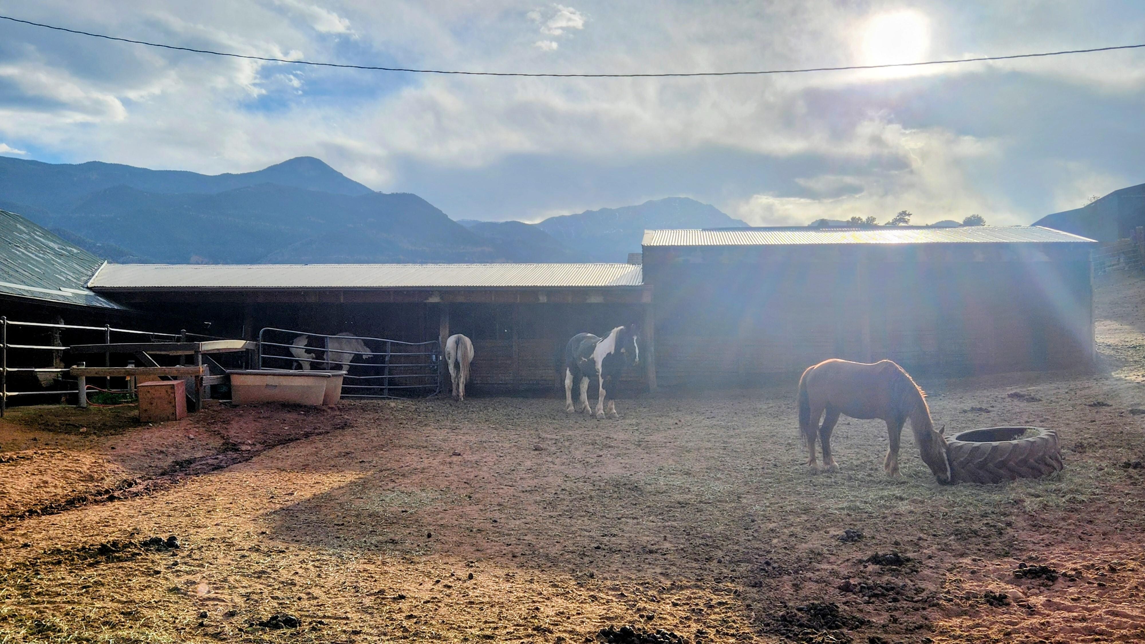 The horses and hills from the balcony 