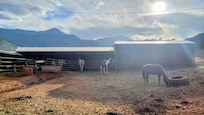 The horses and hills from the balcony
