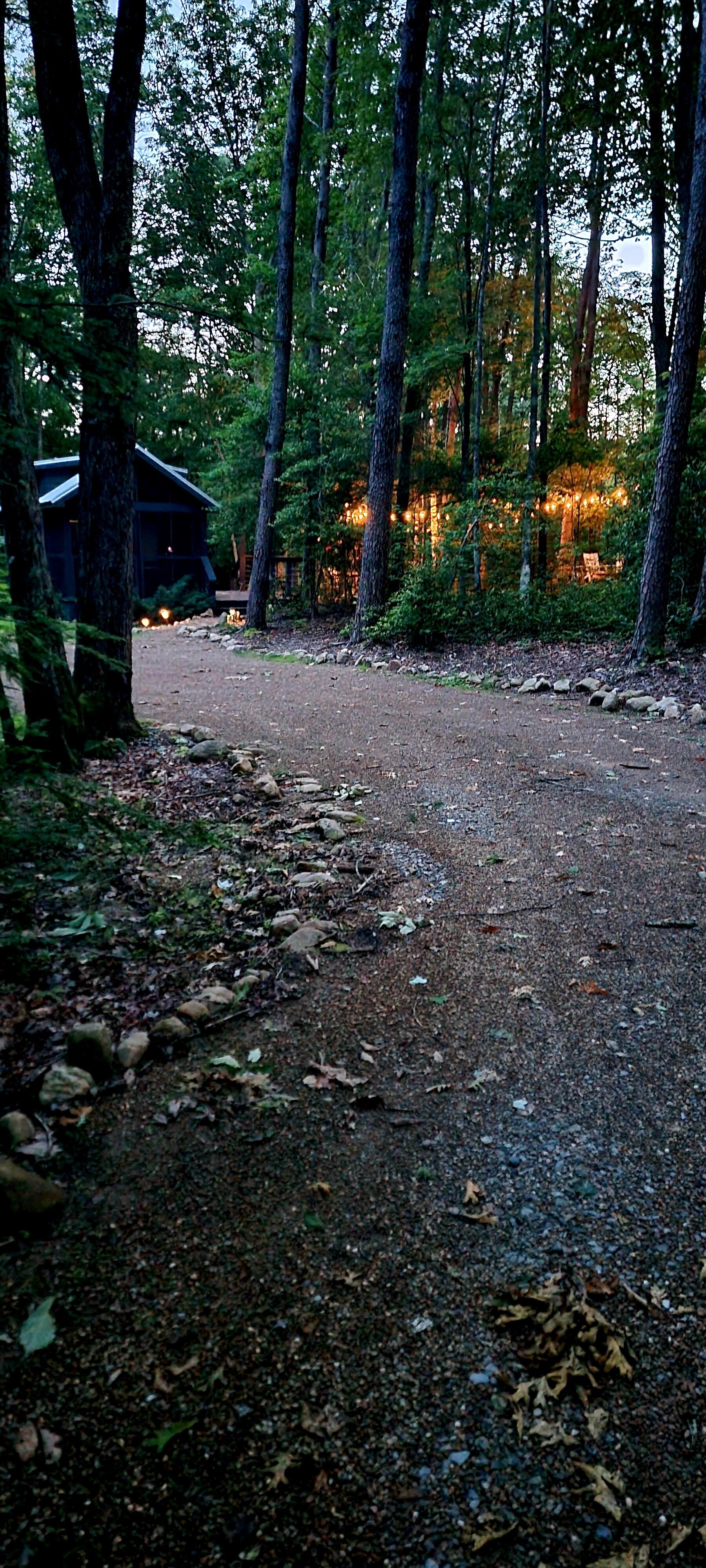 Tucked Back Into The Woods