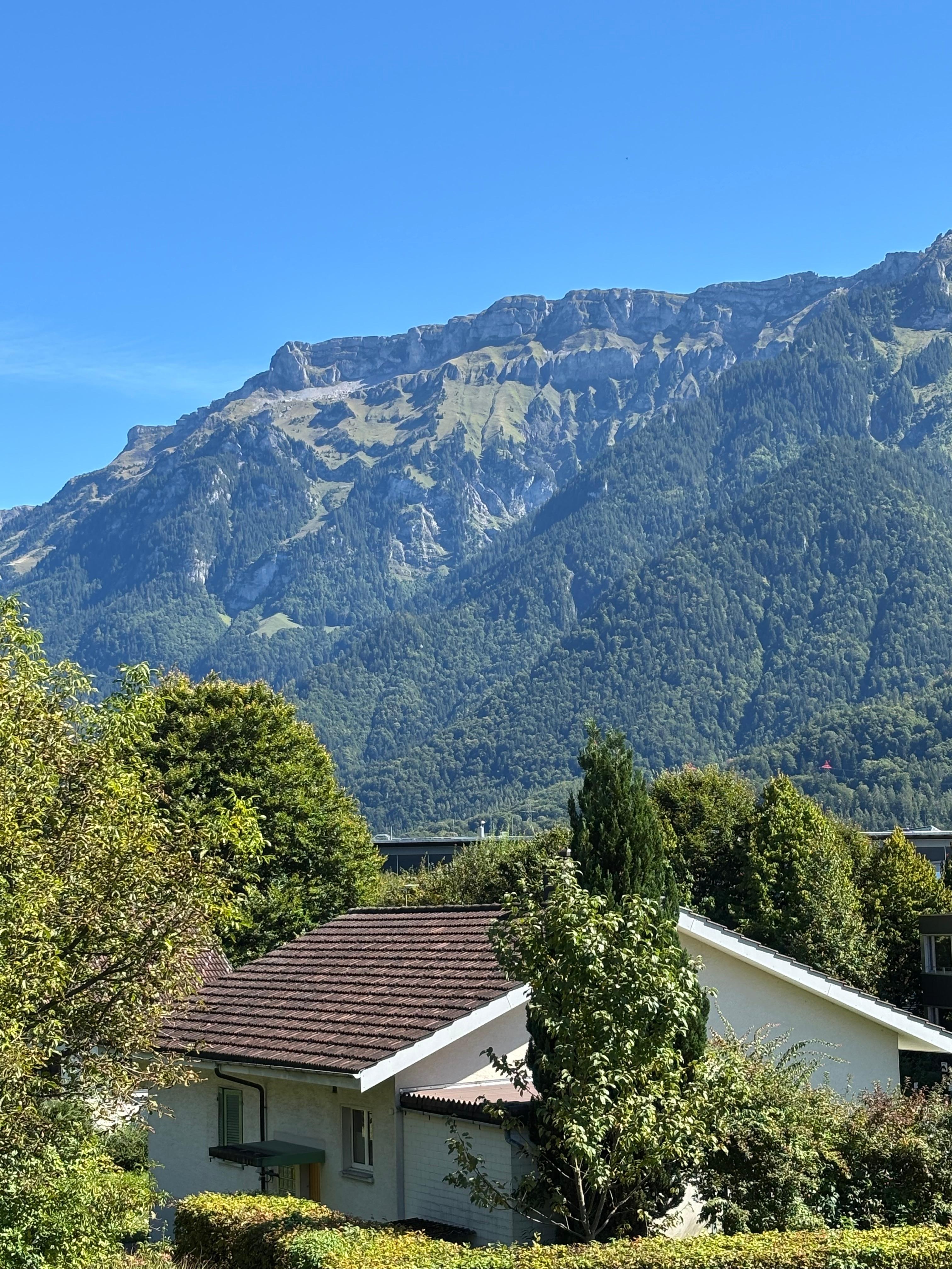 view from the terrace