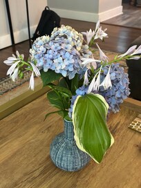 Hydrangeas and hostas around the house. So pretty!