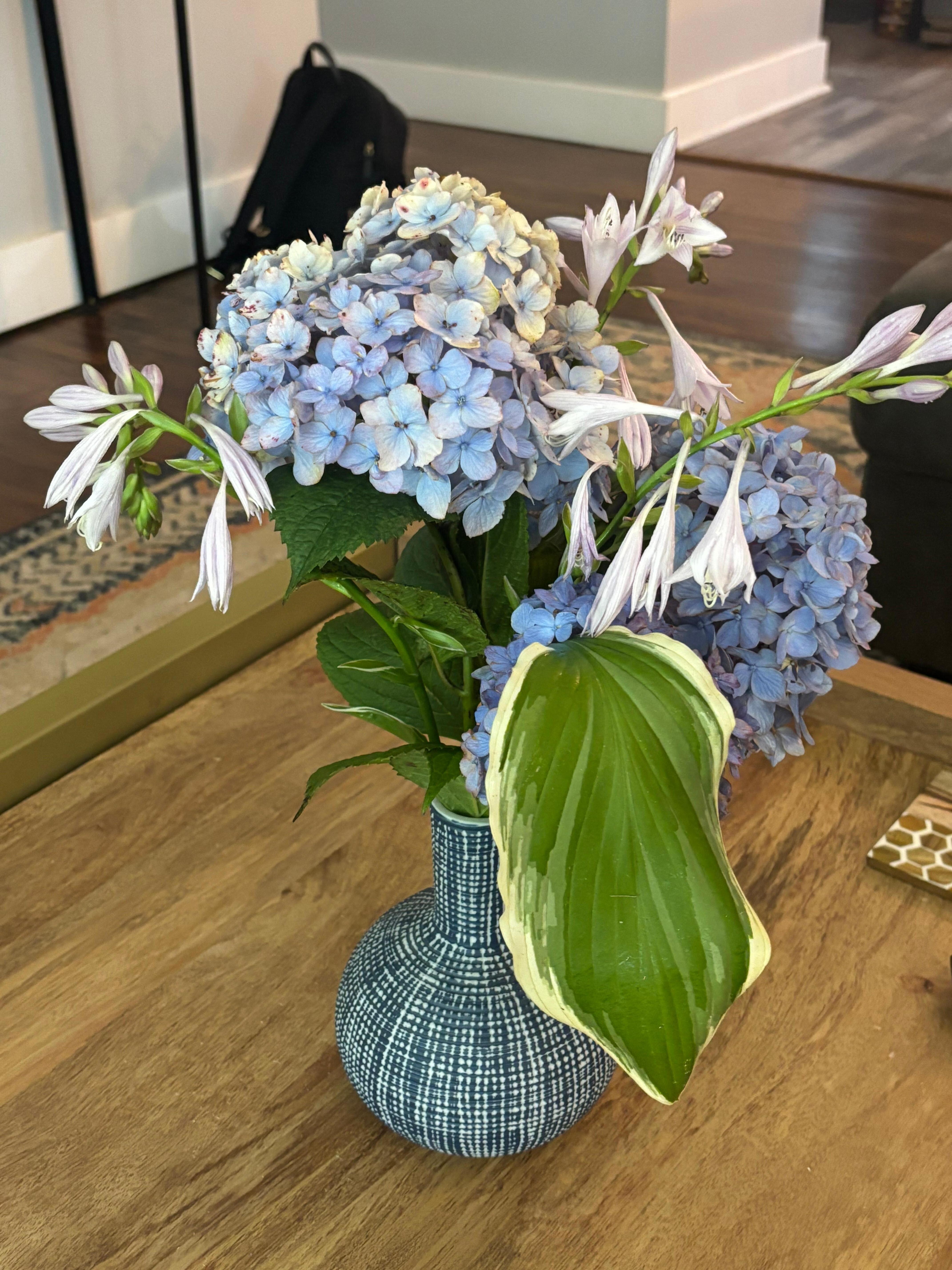 Hydrangeas and hostas around the house.  So pretty!