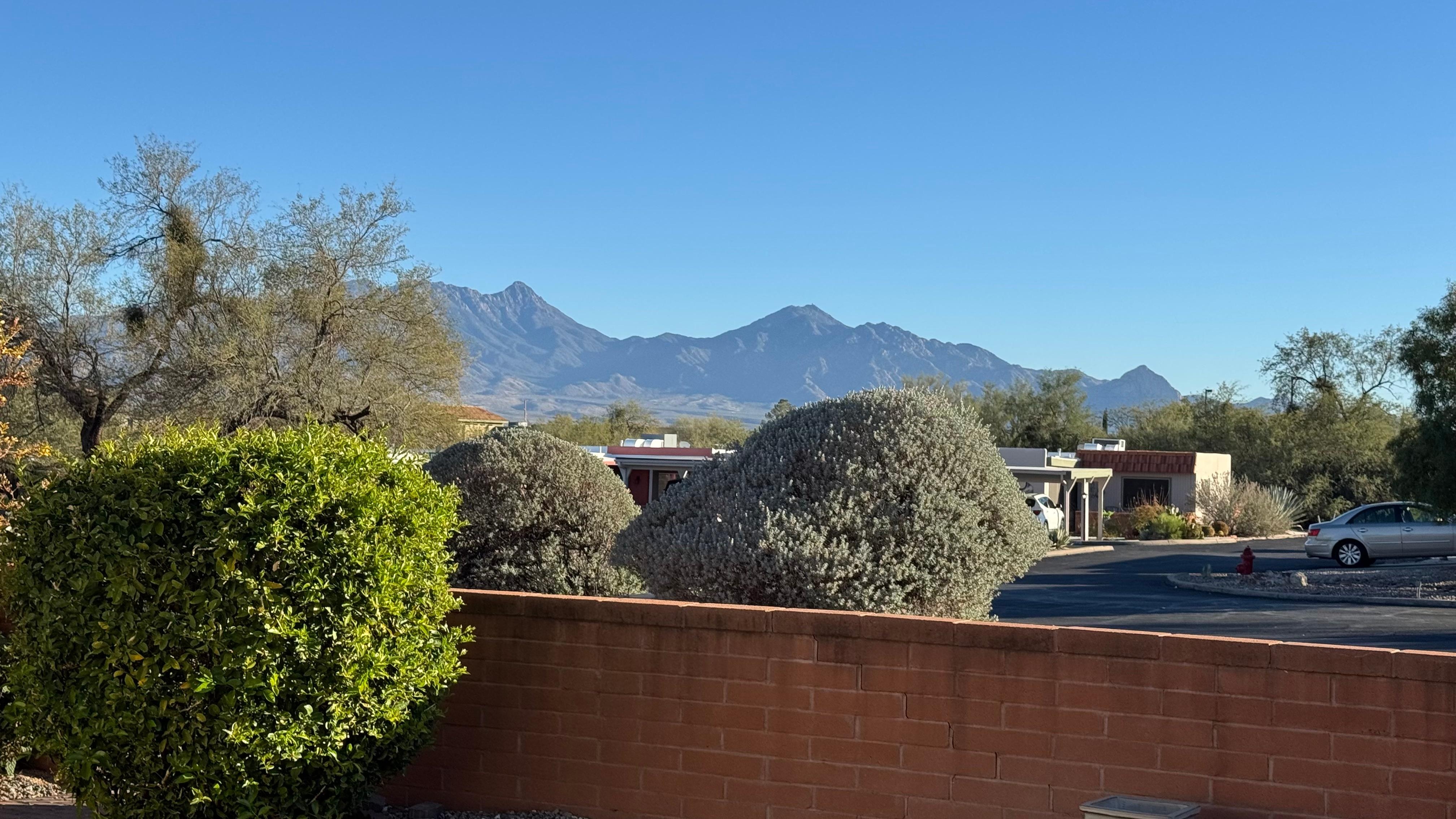 view from the back patio