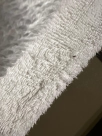 Bug on new towel