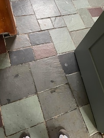 Mold on bathroom floor