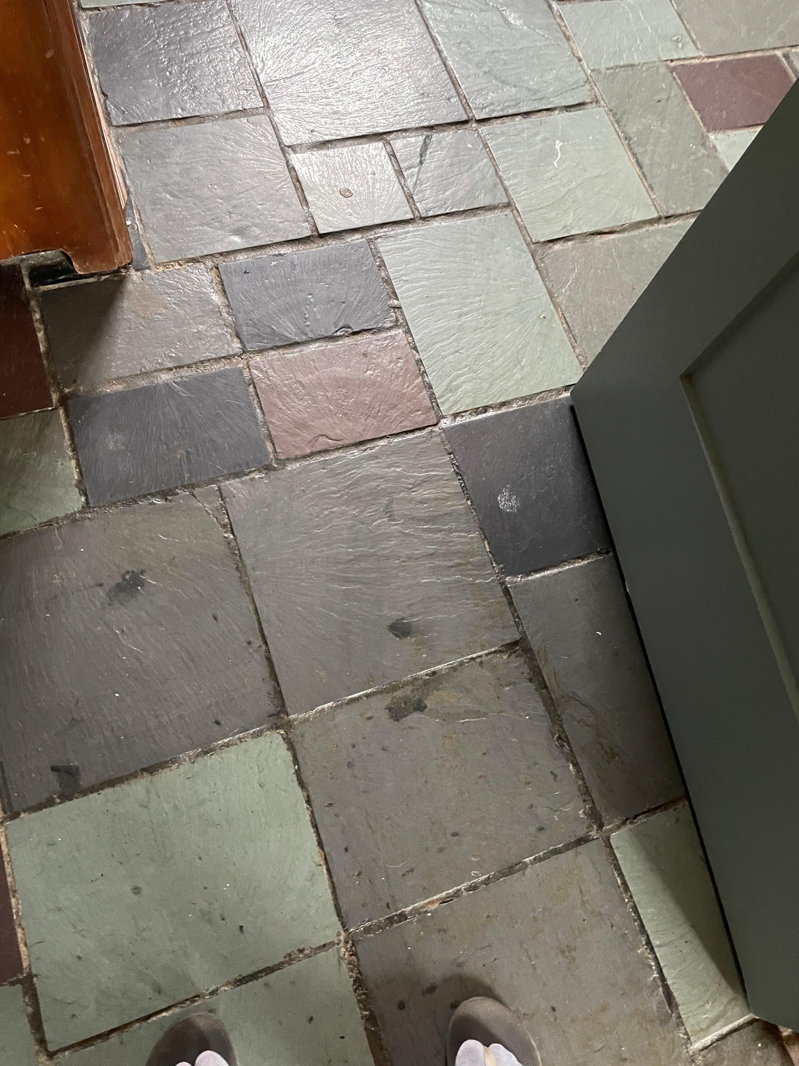 Mold on bathroom floor