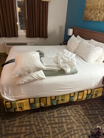 Left our bedding on other bed for us to deal with