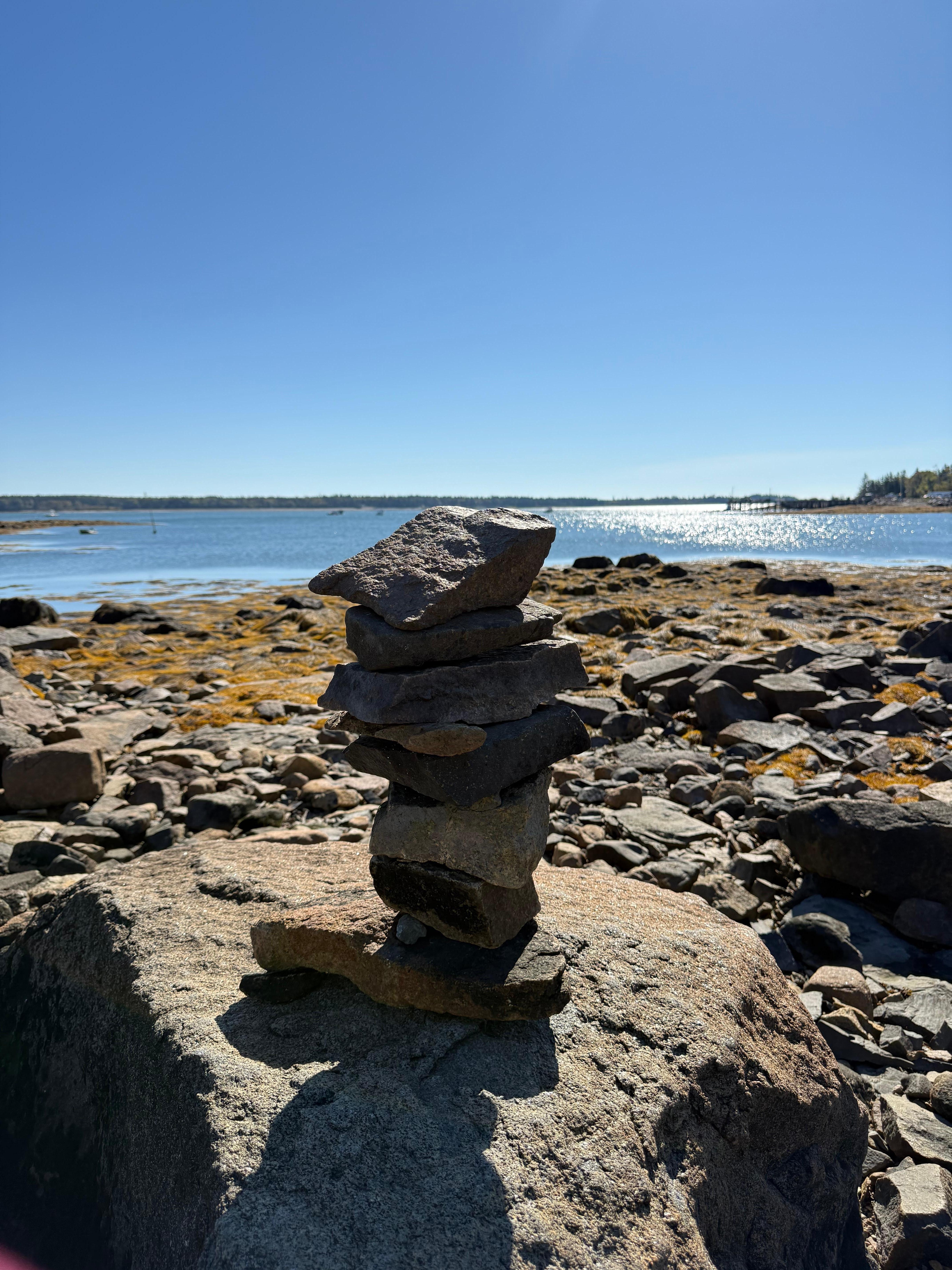 Just a photo while walking around out back. 