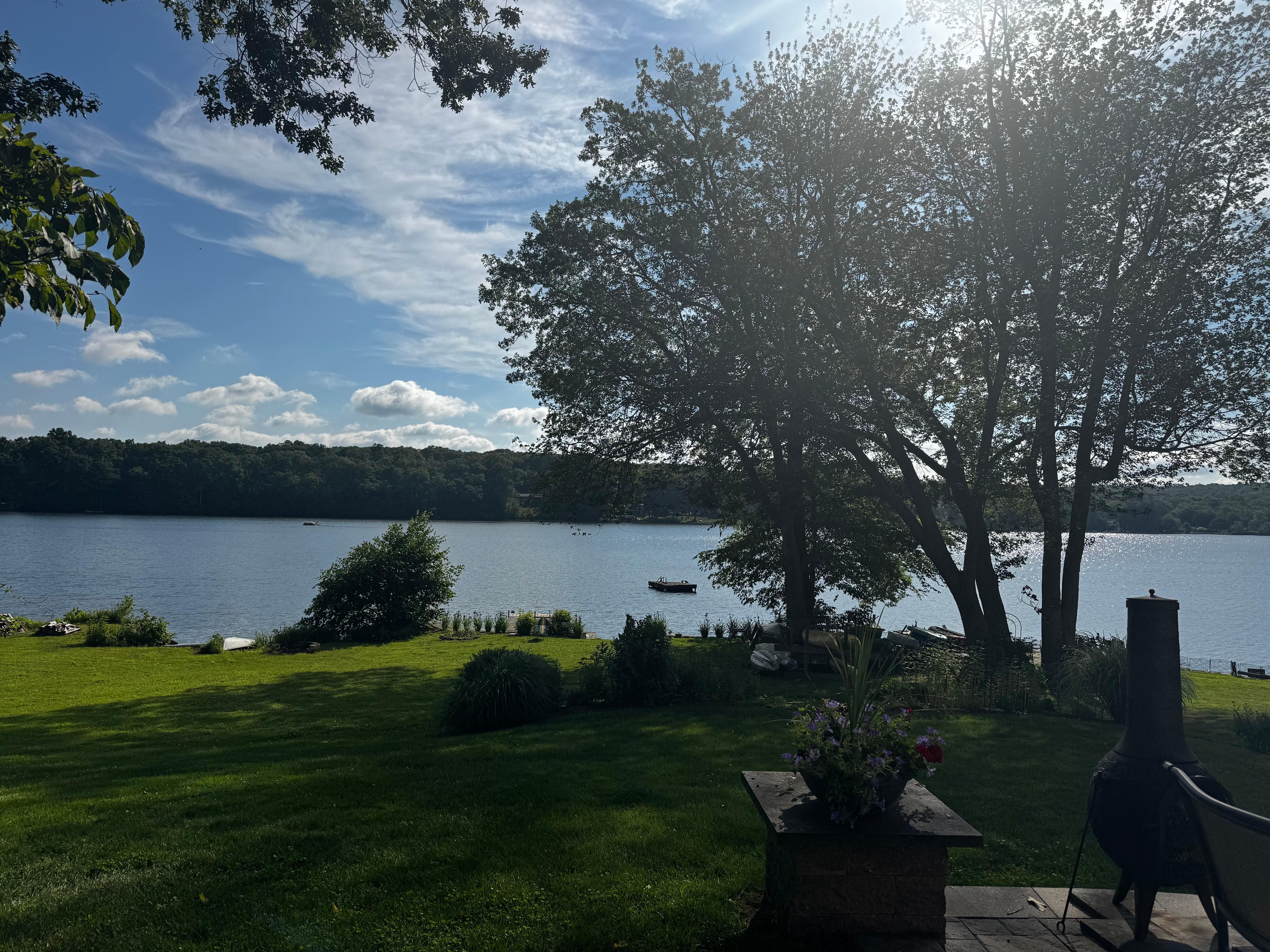 View from the house 