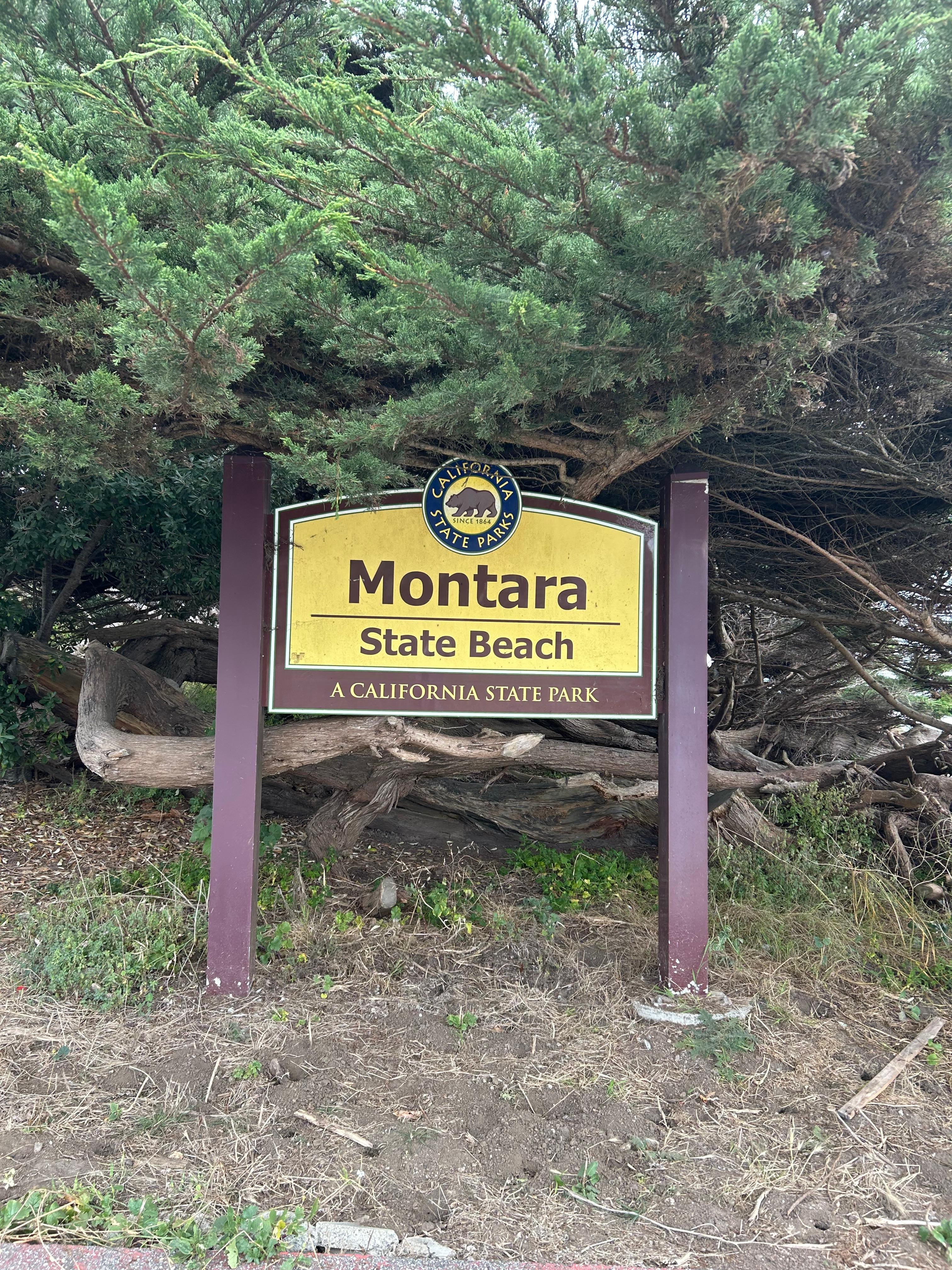 A quick walk to the state beach