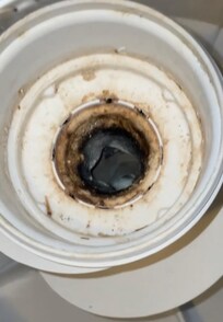 Mold in washer