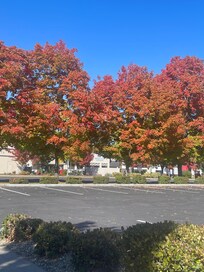 Changing leaves were gorgeous