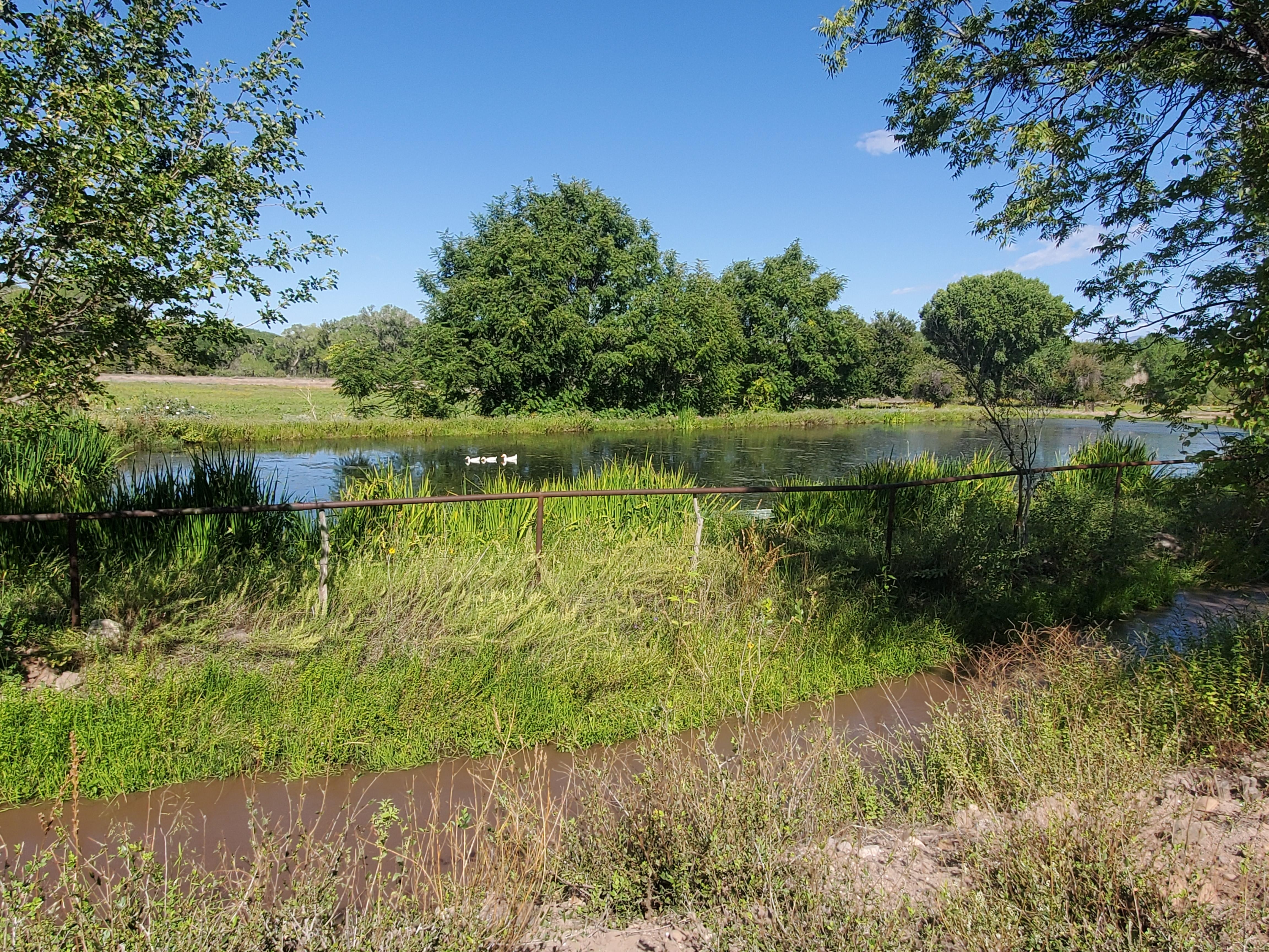 Pond on the ranch.  You are free to wander around to enjoy the scenery.
