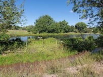 Pond on the ranch. You are free to wander around to enjoy the scenery.