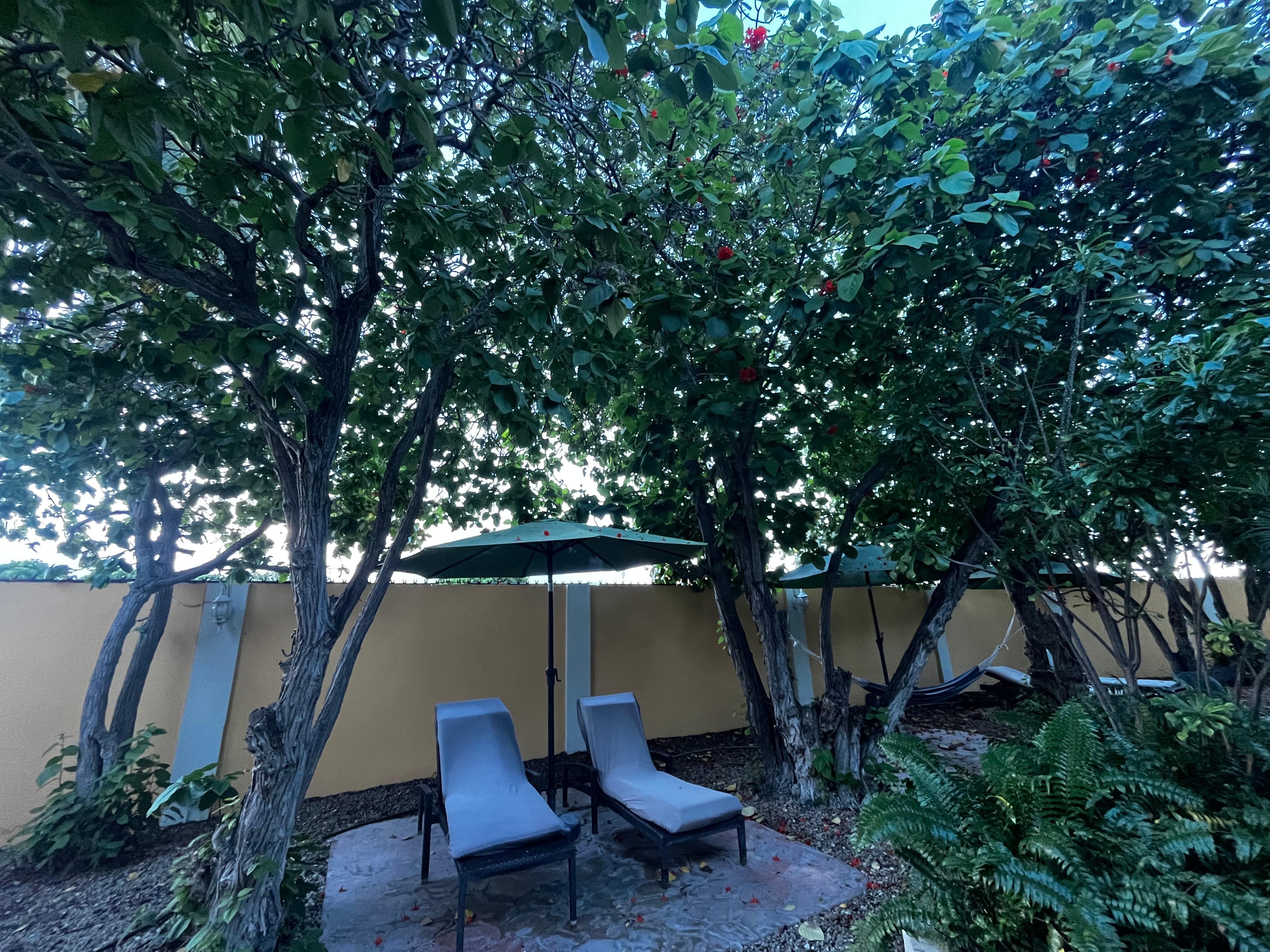 Lounge chairs and hammock to chill