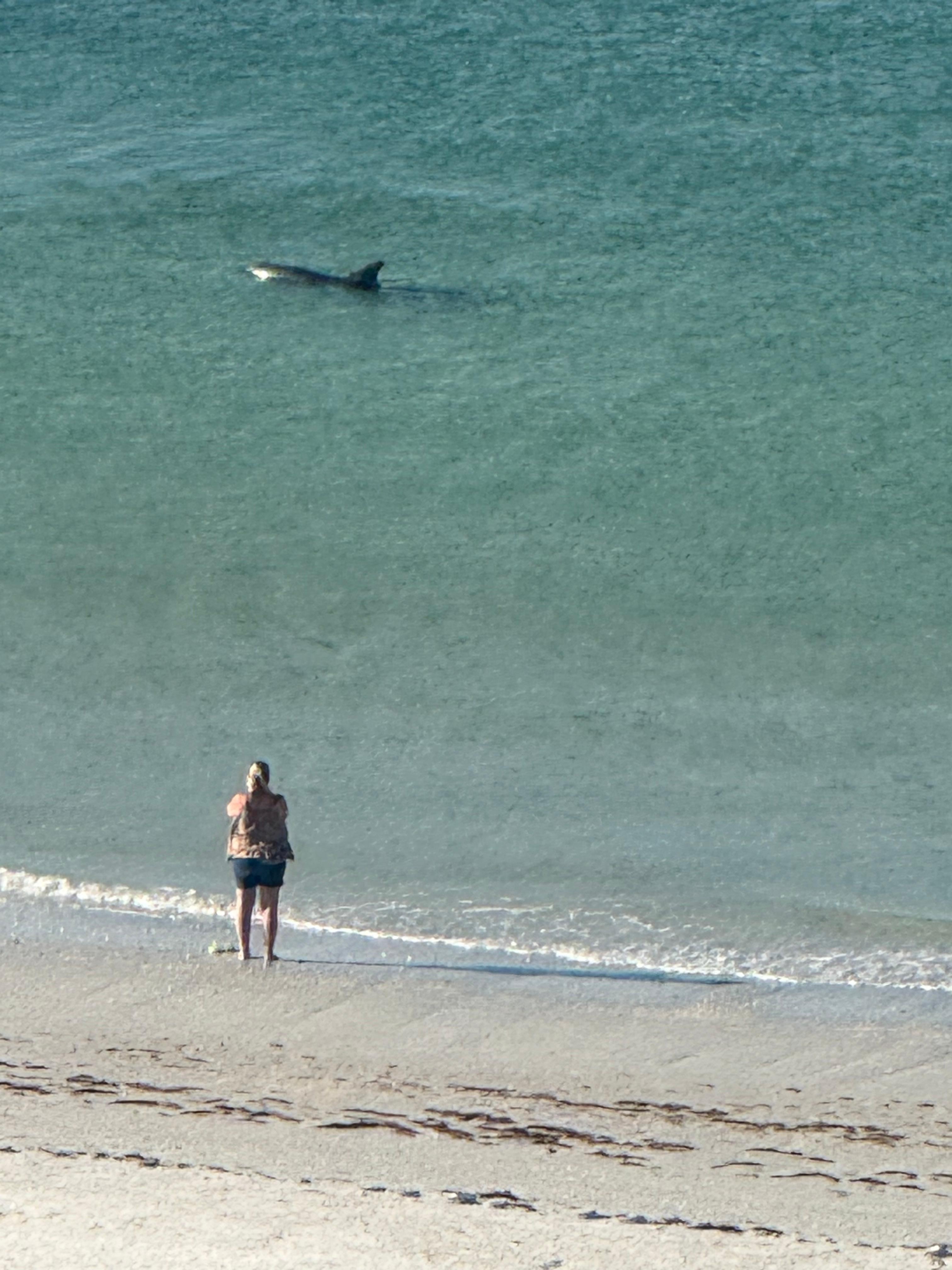 View from the balcony. Dolphins swam by everyday. 