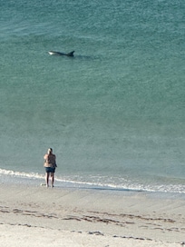 View from the balcony. Dolphins swam by everyday.