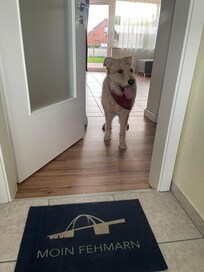 Herzlich Willkommen 🐾