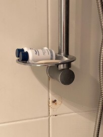 The previous guests toiletries