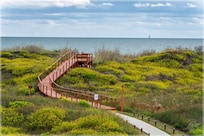 Balcony view.
The boardwalk is right next to the building. At this time of the year, there were several Monarch butterflies on those flowers.