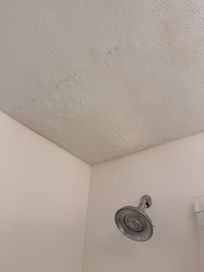 Water damaged above shower. Ceiling falling in.