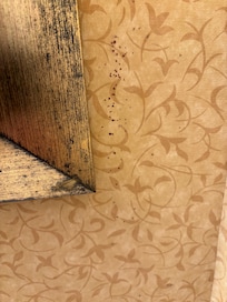 Blood on wall